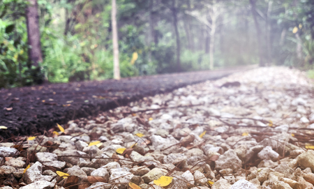 abstract background of stony path inside the woods with lights at the end of the road, symbolising hopeの写真素材