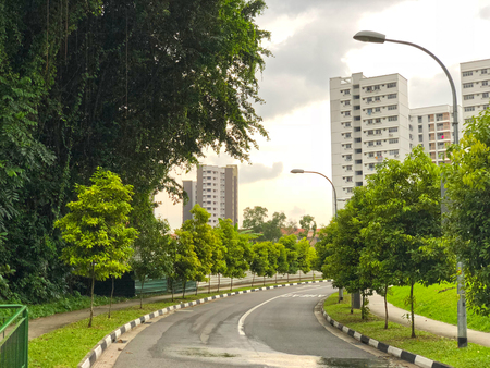 Curvy road with trees at both sides, leading to modern residential apartmentの写真素材