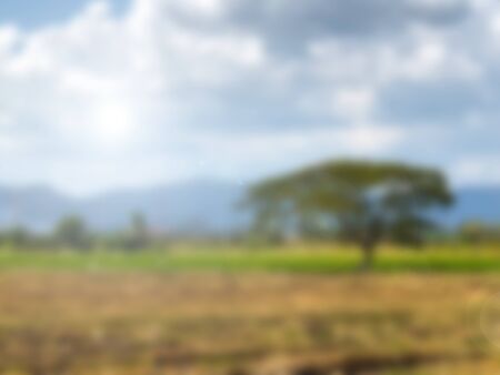 Blurred background of harvested paddy field with mountainous background under cloudy blue skyの写真素材