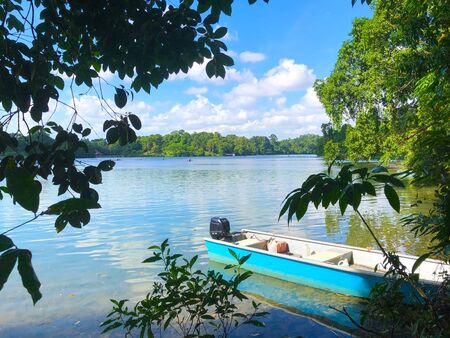 Empty motor boat parked/stranded at the side of the lakeの写真素材