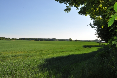 Landschaftsfotoの写真素材