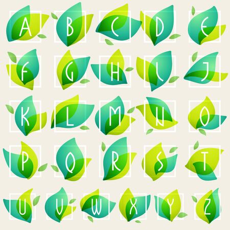 Alphabet in square frames at green leaves watercolor background. Vector ecology typeface for botanical labels, floral headlines, recycle posters, organic cards etc.のイラスト素材