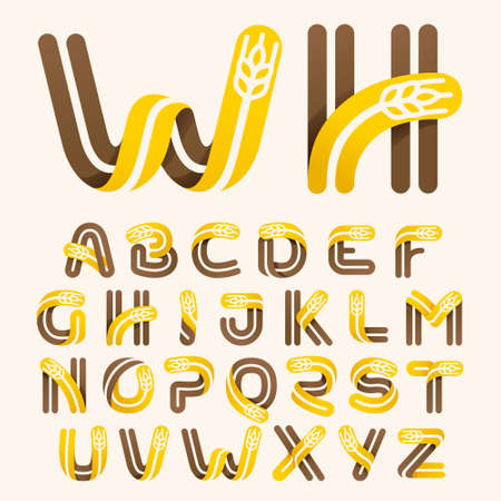 Alphabet letters  with wheat design.のイラスト素材