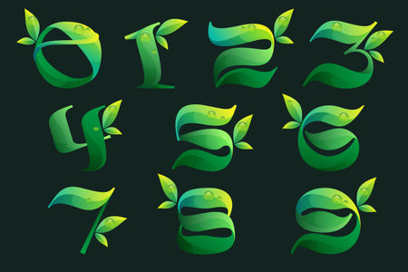 Numbers set with green leaves and dew drops. Vector icon perfect for agriculture ecology labels, eco friendly food emblem, landscape posters and garden identity, etc.のイラスト素材
