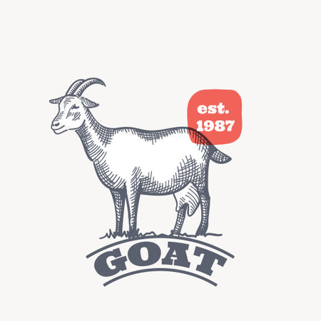 Farm goat emblem in classic elegance engraving style. Vector drawing for your food corporate identity, agriculture illustration, restaurant logo, and etc.のイラスト素材