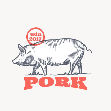 Farm pig emblem in classic elegance engraving style. Vector drawing for your food corporate identity, agriculture illustration, restaurant logo, and etc.のイラスト素材
