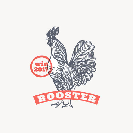 Farm rooster emblem in classic elegance engraving style. Vector drawing for your food corporate identity, agriculture illustration, restaurant logo, and etc.のイラスト素材