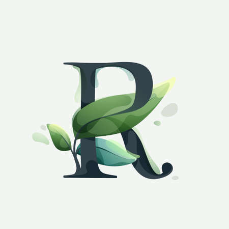 R letter logo with green leaves in clear vector watercolor style. Serif sans font for luxury emblem, botanical identity, ecology projects, wedding invitations.のイラスト素材