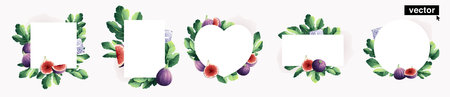 Watercolor realistic vector-style fig illustration. Circle, square, rhombus, rectangle, heart shape...