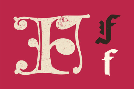 F letter drop cap logo. Illuminated initial and blackletter uppercase and lowercase. All you need to precisely imitate medieval text. Decorative element for the beginning of a paragraph or section.のイラスト素材