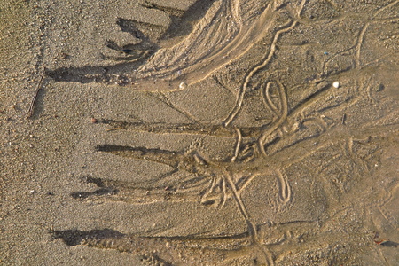 Patterns of sand on the beachの写真素材