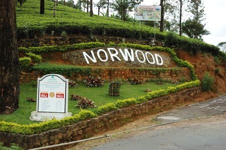 Nuwara Elliya, Sri Lanka ,December 28,2009: Norwood tea plantations in Sri Lanka. Nuwara Elliya is town in the central highlands of Sri Lanka famous for its tea plantations のeditorial素材