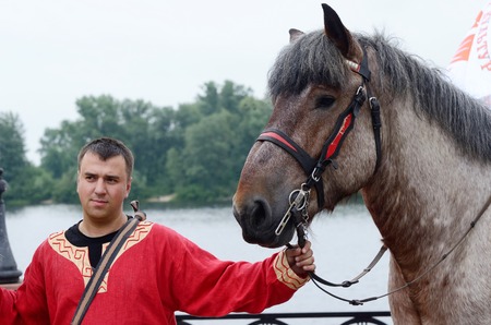 Kiev,Ukraine,May 31,2014 - man with carthorse preparing to performance during Day of Kiev holidayのeditorial素材