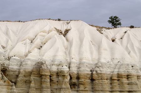 Tree on top of Baglidere canyon,unique white geological rock formations in Love Valley,Turkey,Cappadocia,Central Anantoliaの写真素材