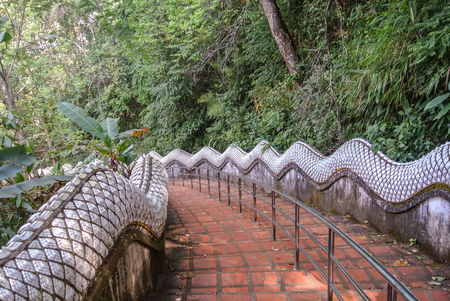 Walking trails within the national park Chiang Rai province North of Thailandの写真素材