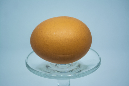 Egg for cooking many types of food for all human being to good healthyの写真素材