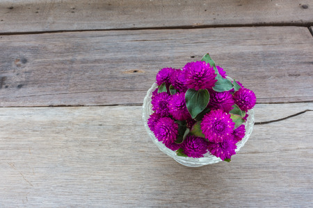 Globe amaranth beauty flower on wood backgroundの写真素材