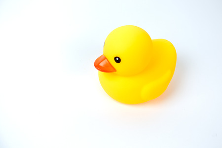 Yellow rubber duck on White Backgroundの写真素材