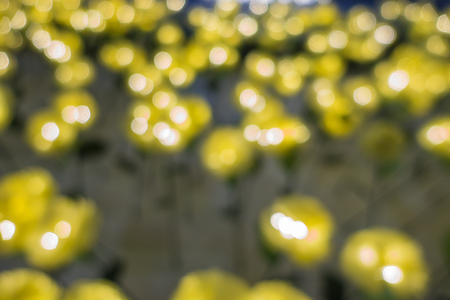 Bokeh, light yellow flowers in night-time Christmas Festival.の写真素材