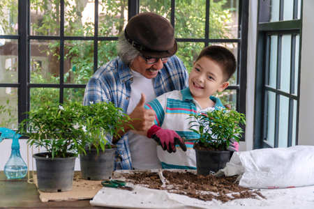 Cheerful little boy wear gloves planting small trees in pots with grandfather teaching and holding thumb up take care of the flower together at greenhouse. Lifestyle knowledge for childhood concept.の写真素材