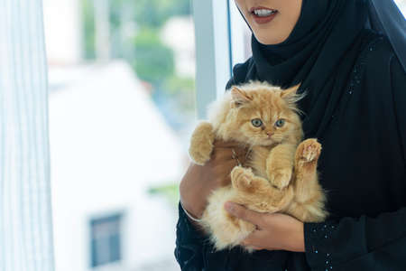 Beautiful muslim young woman wearing black hijab hugging lovely fluffy brown persian kitten while standing beside windows at home. Friendship animal concept.の写真素材