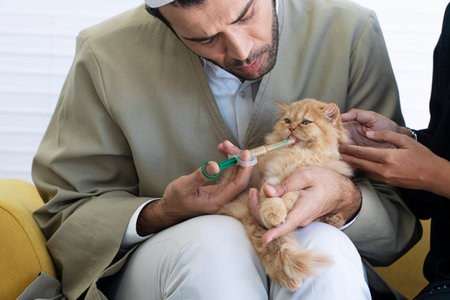 Muslim man using syringe feeding dropper food for persian cat kitten in hand sitting on yellow sofa...