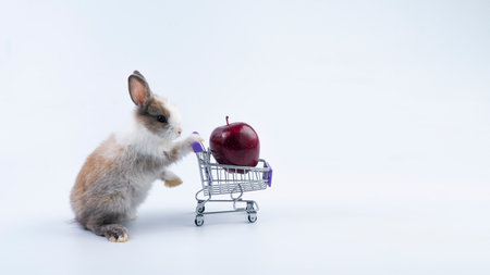 Adorable rabbit bunny pushing shopping cart with fresh red apple while standing over isolated white background. Newborn baby rabbit with shopping cart looking something. Easter and shop online conceptの写真素材