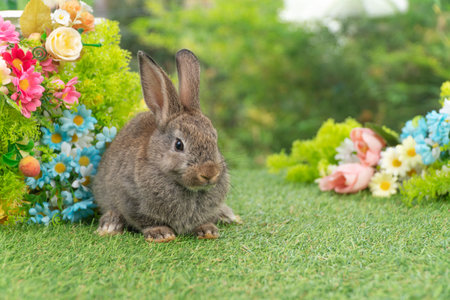 Lovely rabbit ears bunny sitting playful on green grass with flowers over spring time nature background. Little baby rabbit brown bunny curiosity standing playful on meadow summer background. Easterの写真素材