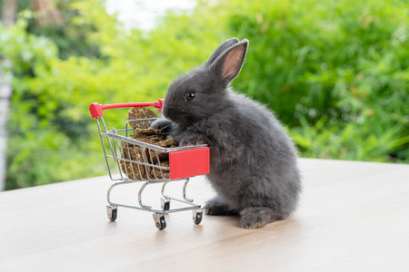 Adorable baby rabbit bunny pushing shopping basket cart with cookie carrot standing over green nature background. Furry young bunny stand on two legs. Easter bunny animal shopping online concept.
