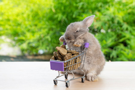 Adorable baby rabbit bunny pushing shopping basket cart with cookie carrot standing over green nature background. Furry young bunny stand on two legs. Easter bunny animal shopping online concept.の写真素材