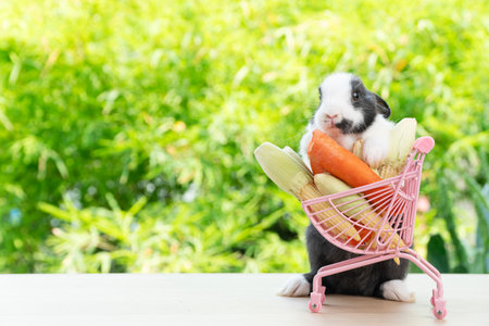 Adorable baby rabbit mammal bunny pushing shopping basket cart have fresh carrot and baby corn while standing on wooden over nature background. Easter holiday bunny animal and shop online concept.の写真素材