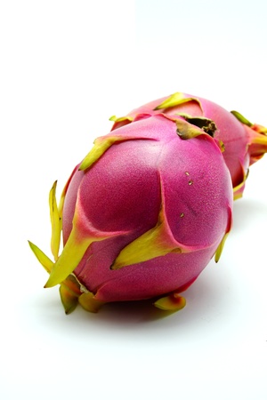 Dragon Fruit on White Background             の写真素材