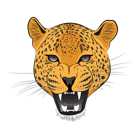 Cheetah Vector Cartoonのイラスト素材