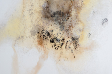 Background of Cement with Stain on Wall Textureの写真素材