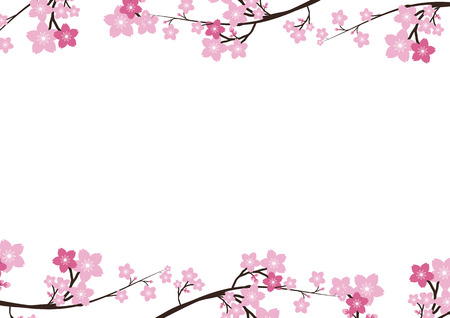 Cherry blossom, Sakura pink flowers background.のイラスト素材