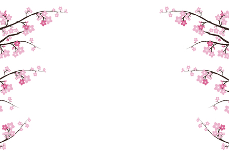 Cherry blossom flowers background. Sakura  pink flowers  background.のイラスト素材