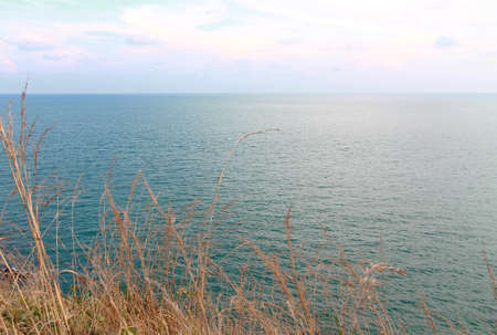 A sea view with dune grass in the foregroundの写真素材