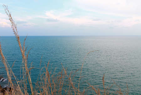 Tall Dune Grass in the foreground of the seaviewの写真素材