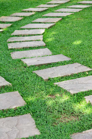Garden stone path with green grass in the gardenの写真素材