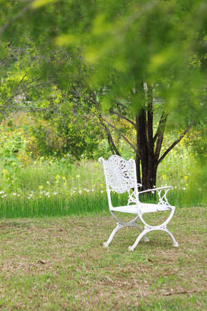 The luxury white chair places in the beautiful gardenの写真素材