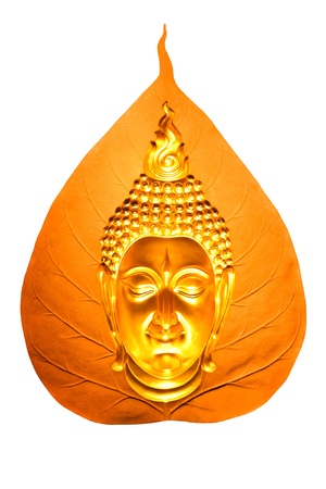 The dolden buddha 's headの写真素材