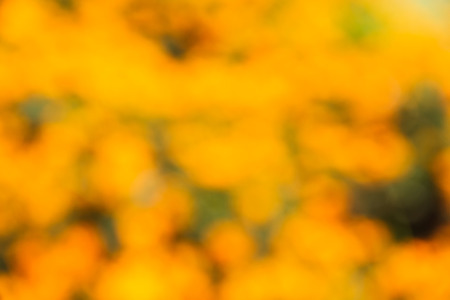 Natural bokeh White, green, yellow, pink, red, purple, orange abstract light background の写真素材