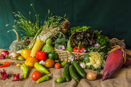 still life  Vegetables, Herbs and Fruit as ingredients in cooking の写真素材