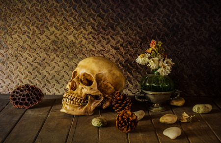 Still Life with a Skull concept on the art.の写真素材