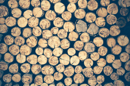 a pile of cut wood stump log texture Used as backgroundの写真素材