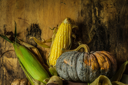 Still life with pumpkin, corn, taro, yam for cooking.の写真素材