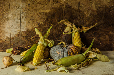 Still life with pumpkin, corn, taro, yam for cooking.の写真素材
