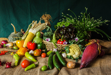 still life  Vegetables, Herbs and Fruit as ingredients in cooking.の写真素材