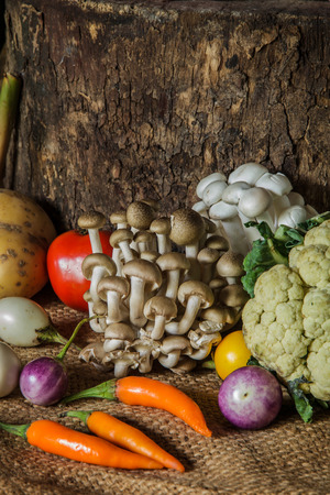 still life  Vegetables, Herbs and Fruits as ingredients in cooking.の写真素材