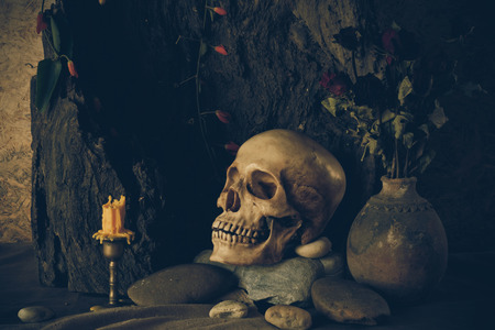 Still life with a human skull with desert plants, cactus, roses and dried flowers in a vase beside the timber.の写真素材